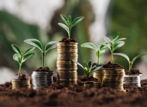 power-of-compound-interest-wealth-guide.jpg power-of-compound-interest-wealth-guide.jpg