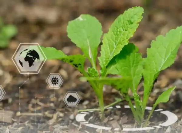 nanotechnology in farming