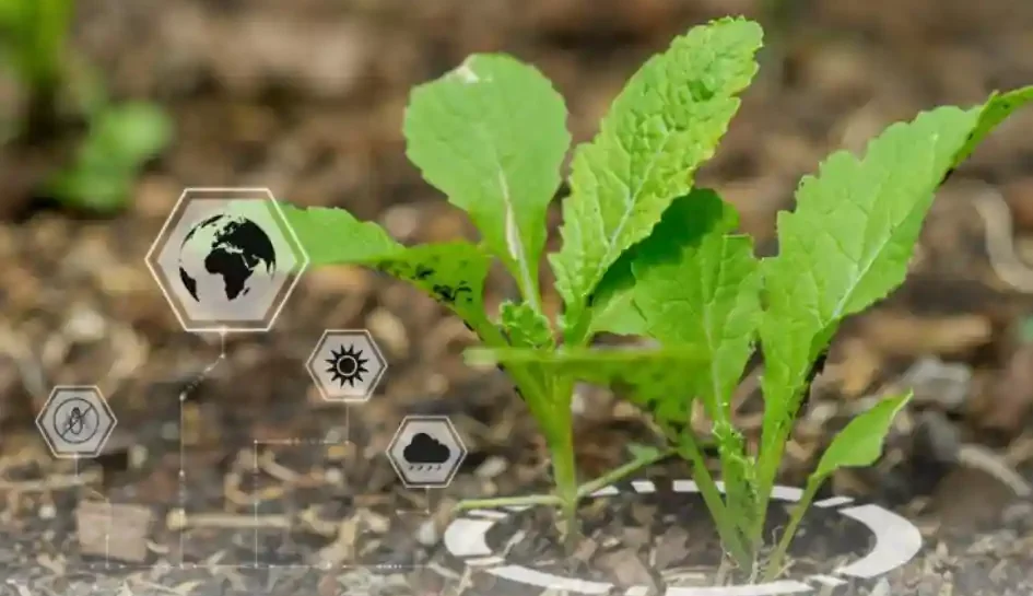 nanotechnology in farming